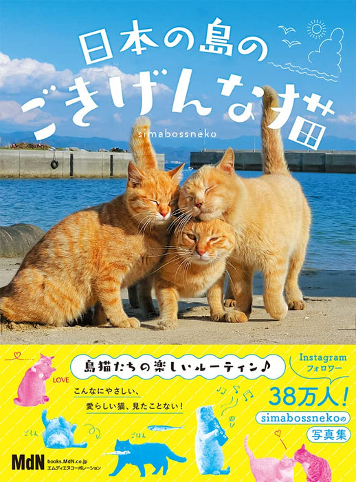 Nihon no Shima no Gokigen na Neko