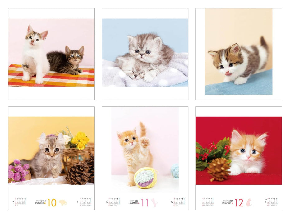 Mashikaku Koneko Calendar 2024 Happy Kitten (Impress Calendar 2024)