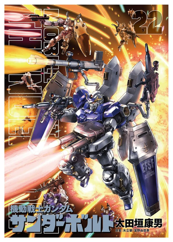 Mobile Suit Gundam Thunderbolt 22 Limited Edition with Anime Original Picture Book