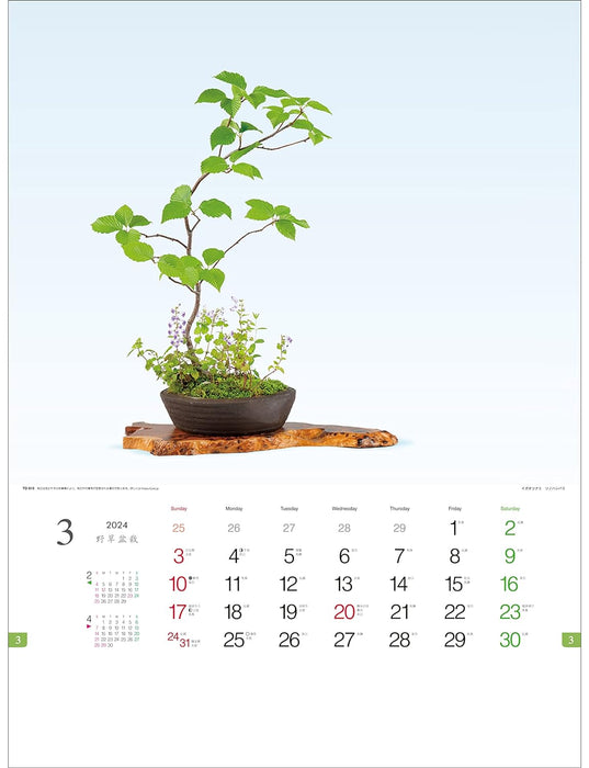 Todan 2024 Wall Calendar Wildflower Bonsai 53.5 x 38cm TD-819