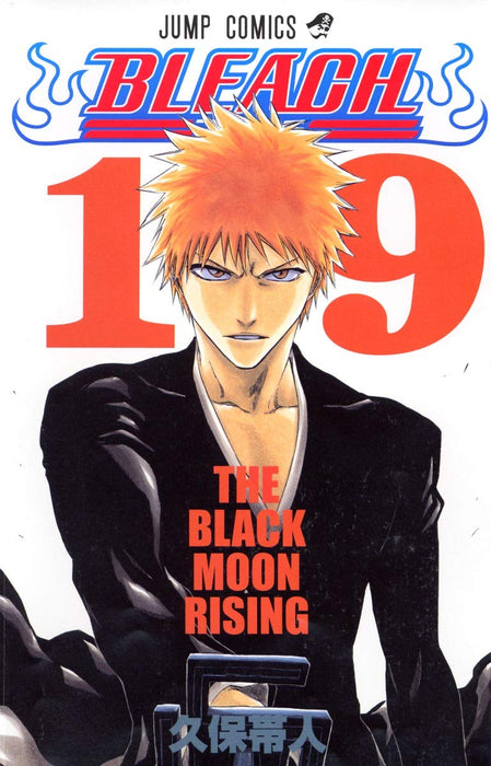 BLEACH 19