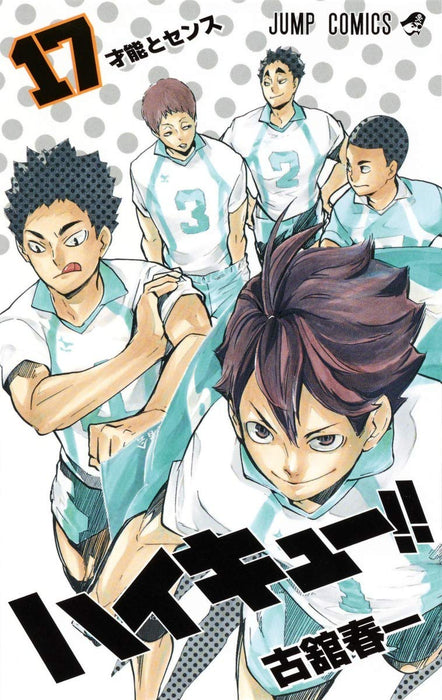 Haikyu!! 17