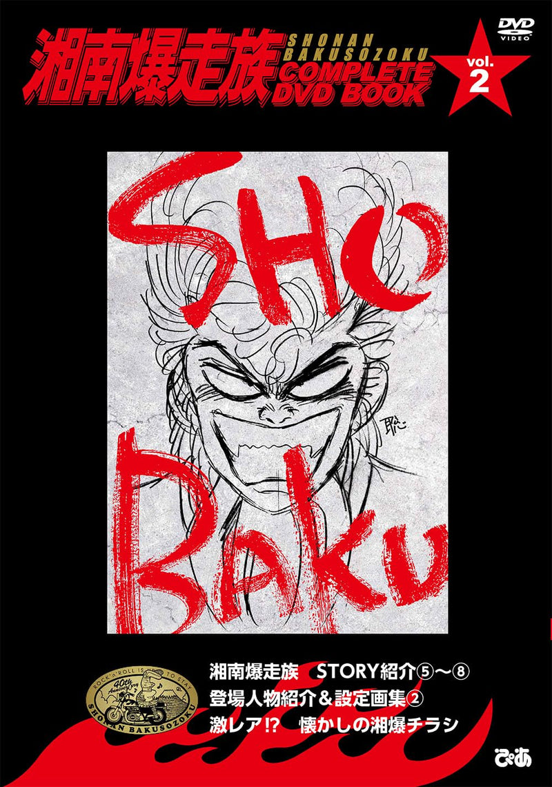 Shounan Bakusouzoku COMPLETE DVD BOOK vol.2