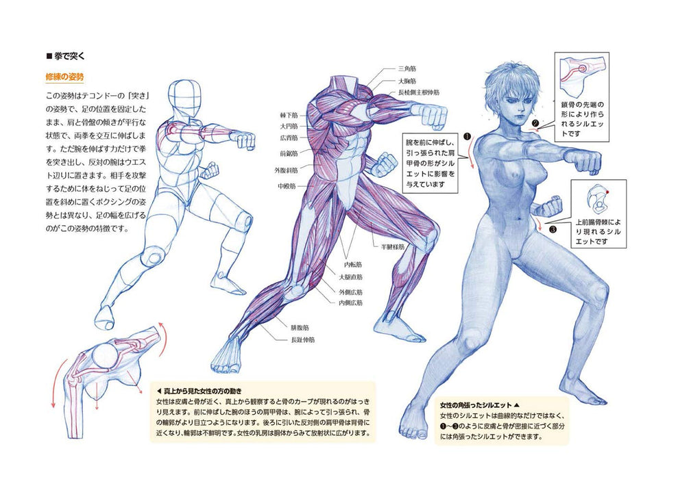 RockHe Kim's Anatomy Drawing Class