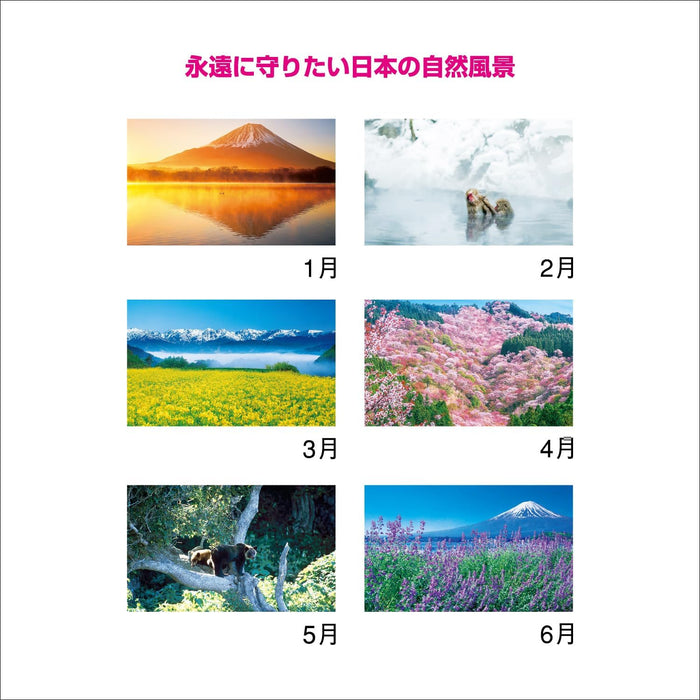 New Japan Calendar 2024 Wall Calendar Forever Japan NK142 610x425mm