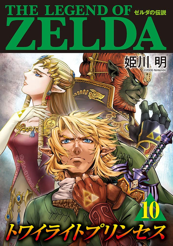 The Legend of Zelda: Twilight Princess 10