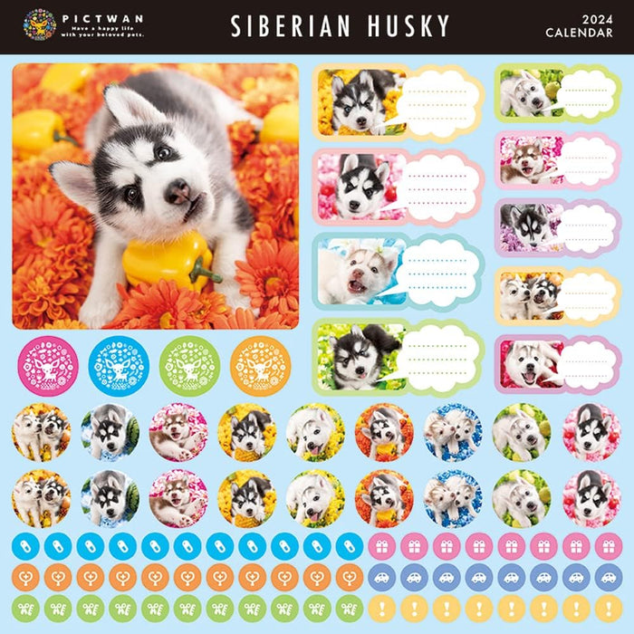 PICTWAN 2024 Calendar L Edition Siberian Husky L026