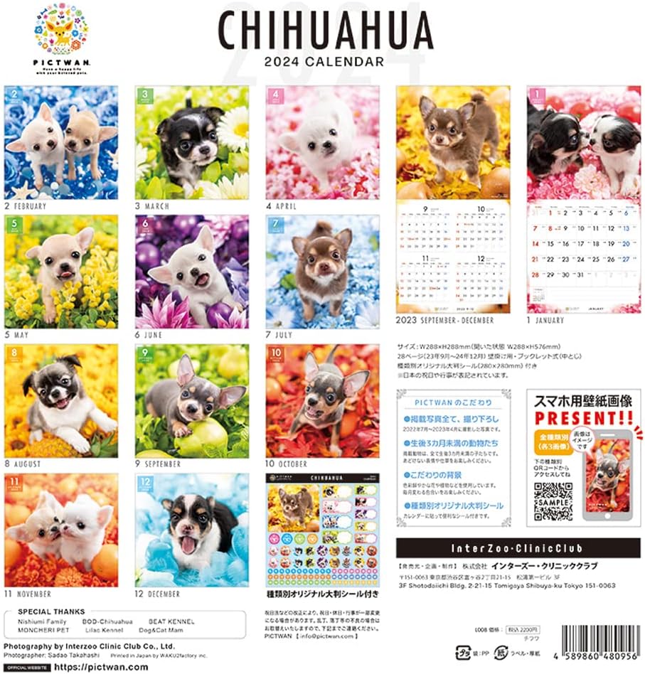 PICTWAN 2024 Calendar L Edition Chihuahua L008 – Japanese Book Store