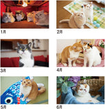 New Japan Calendar 2024 Desk Calendar Life with Cats Mikan to Jirousan Chi CL24-0401