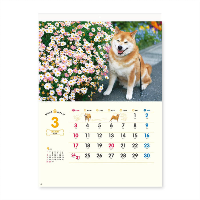 New Japan Calendar 2024 Wall Calendar Walk with Shiba Inu Maru Calendar NK35