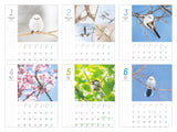 Plenty of Space Calendar: Fuwamofu Shimaenaga to Issho Calendar+Memo 2024 (Impress Calendar 2024)