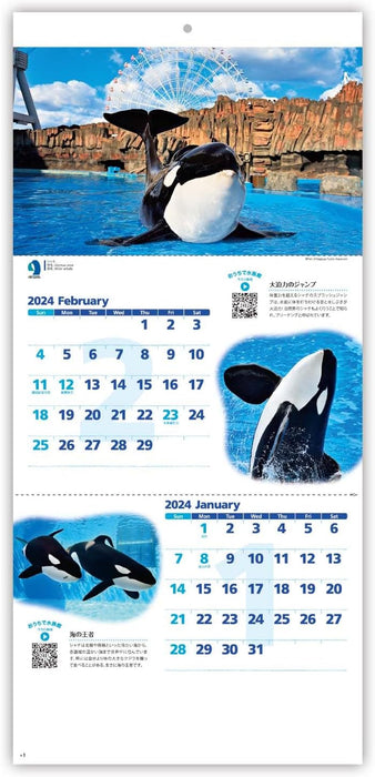 New Japan Calendar 2024 Wall Calendar Healing Aquarium 2 Months Type NK928