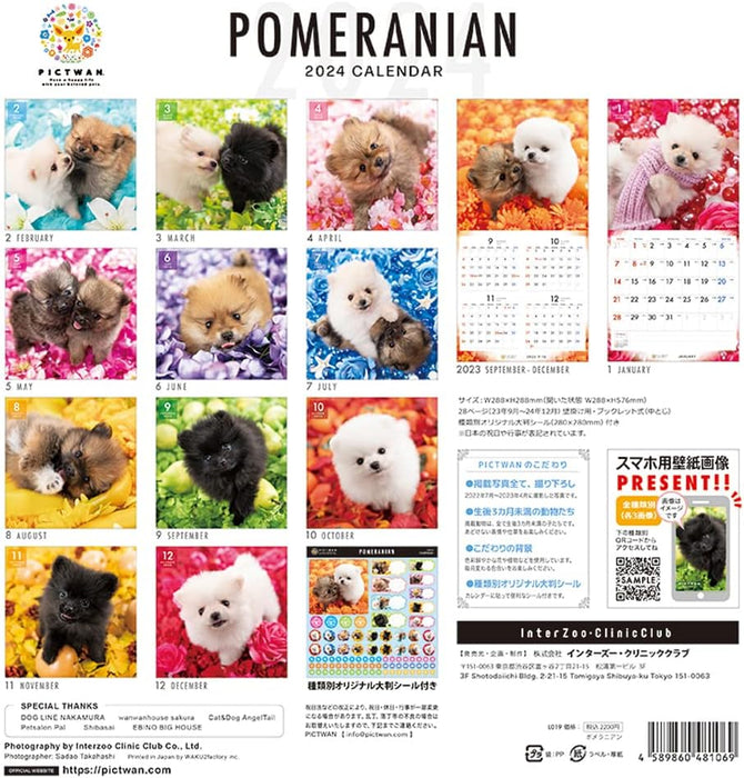 PICTWAN 2024 Calendar L Edition Pomeranian L019