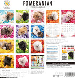 PICTWAN 2024 Calendar L Edition Pomeranian L019