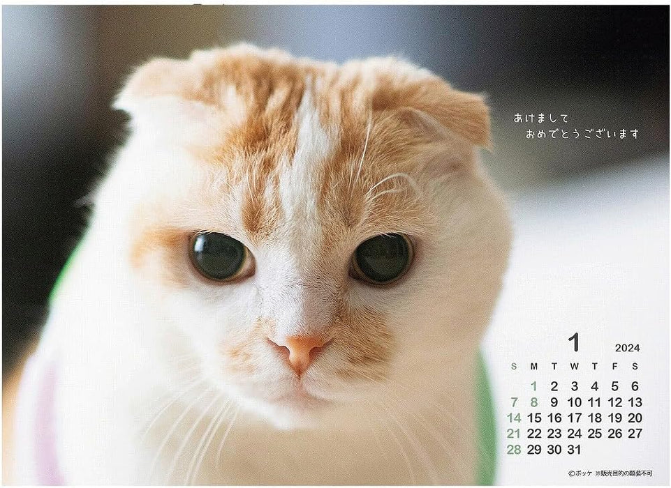 2024 Pokke (Desk) Calendar No.044