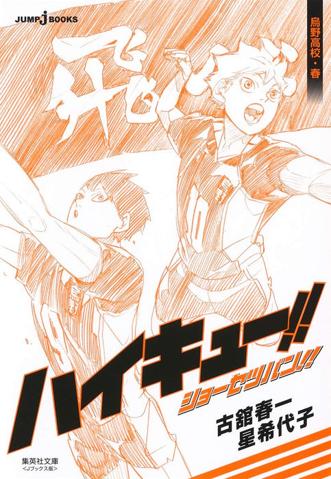 Haikyu!! Novel version!! Karasuno High Spring