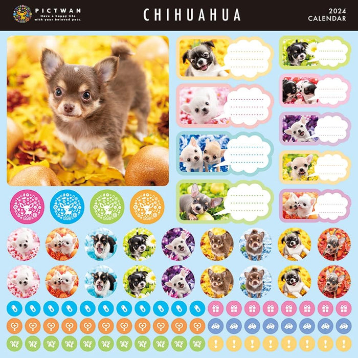 PICTWAN 2024 Calendar L Edition Chihuahua L008