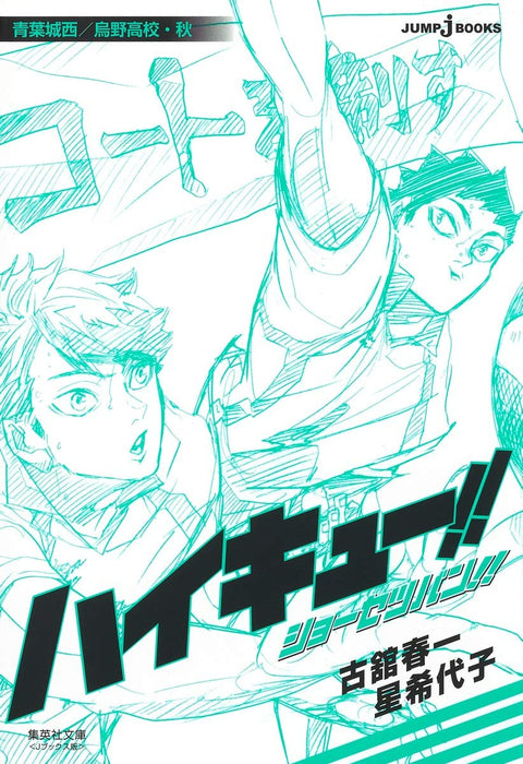 Haikyu!! Novel version!! Aoba Johsai / Karasuno High Autumn