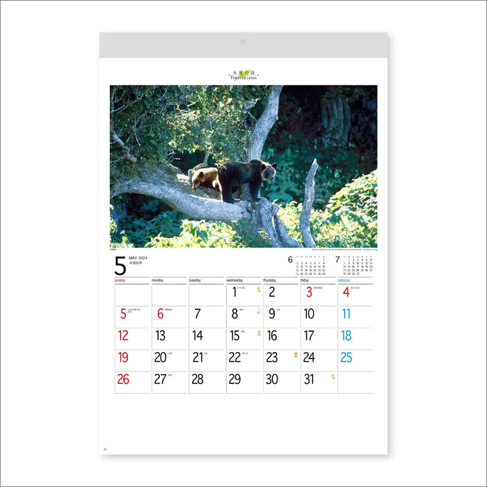 New Japan Calendar 2024 Wall Calendar Forever Japan NK142 610x425mm