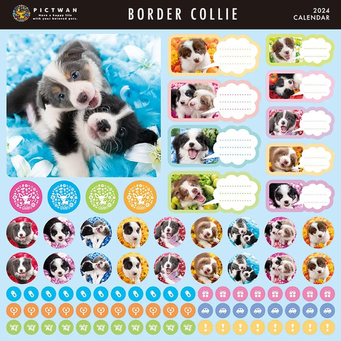 PICTWAN 2024 Calendar L Edition Border Collie L004