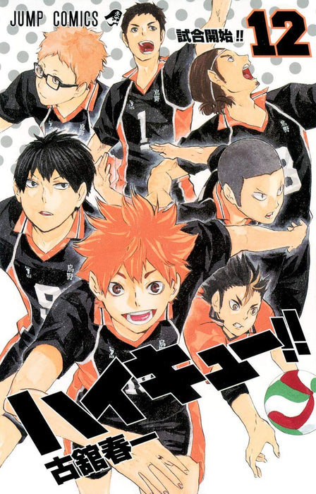 Haikyu!! 12