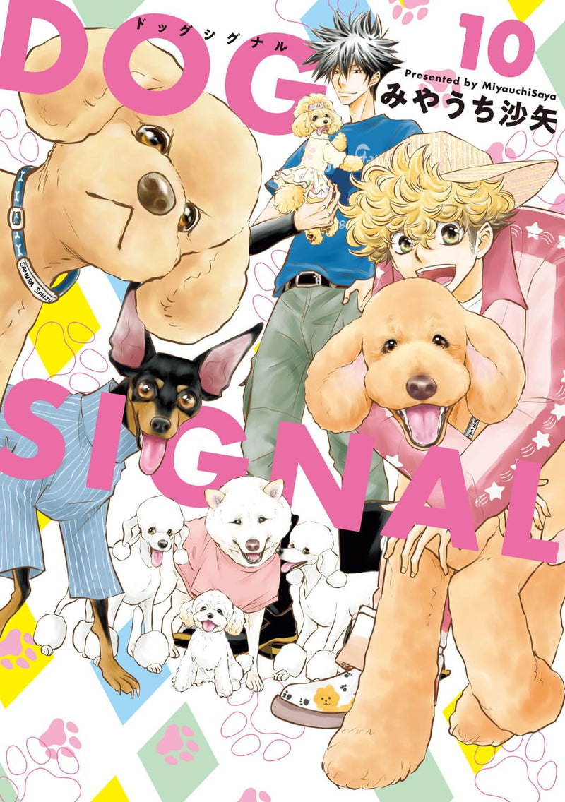 DOG SIGNAL 10