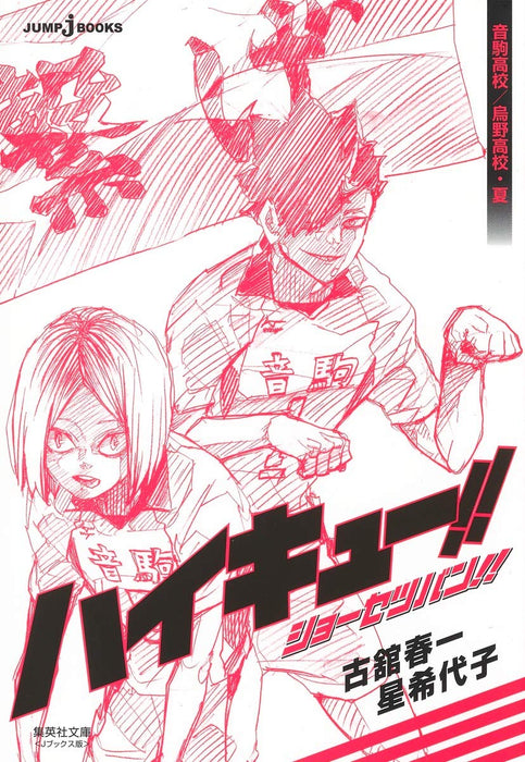 Haikyu!! Novel version!! Nekoma / Karasuno High Summer