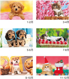 New Japan Calendar 2023 Wall Calendar Thank you! Dog & Cat Moji 2 Months Type NK908
