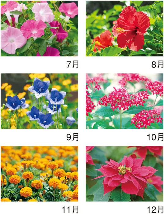 New Japan Calendar 2023 Wall Calendar Flower Language NK139