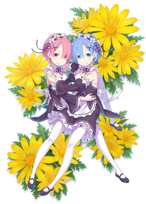 Re:Zero - Starting Life in Another World Shinichiro Otsuka Art Works Re:BOX 2nd