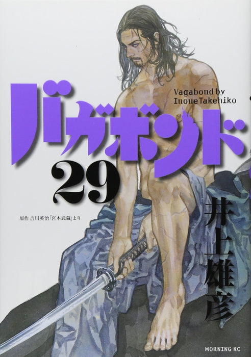 Vagabond 29