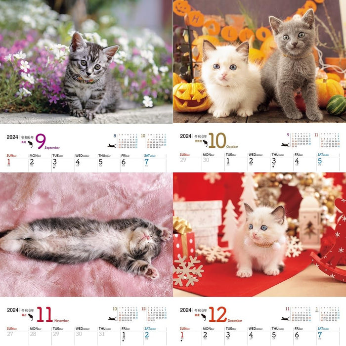 JTB Calendar Nyanko 2024 Wall Calendar