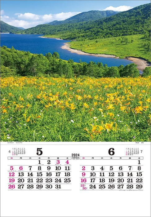 Todan 2024 Wall Calendar Japan (Film) CL24-1077