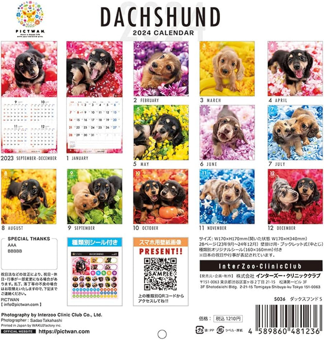 PICTWAN 2024 Calendar S Edition Dachshund S036