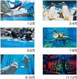 New Japan Calendar 2023 Wall Calendar Healing Aquarium NK928