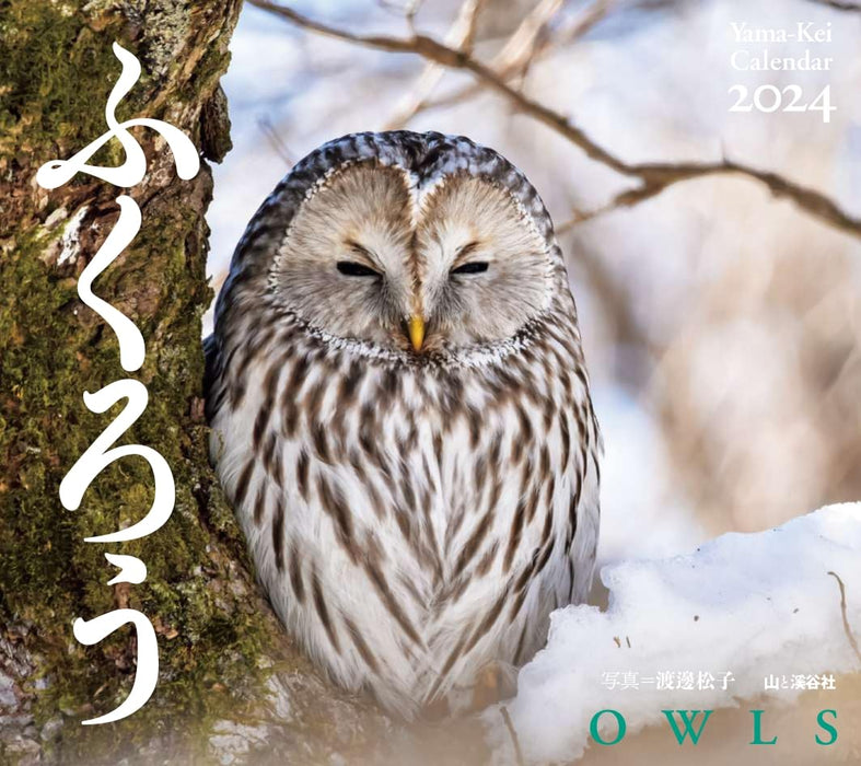 Yama-kei Calendar 2024 Owl (Monthly/Wall Calendar)