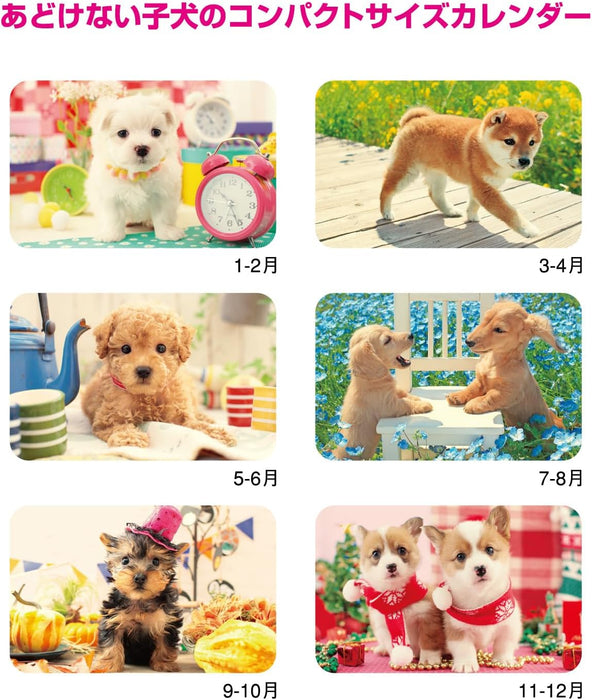 New Japan Calendar 2024 Wall Calendar Natural Dog NK434