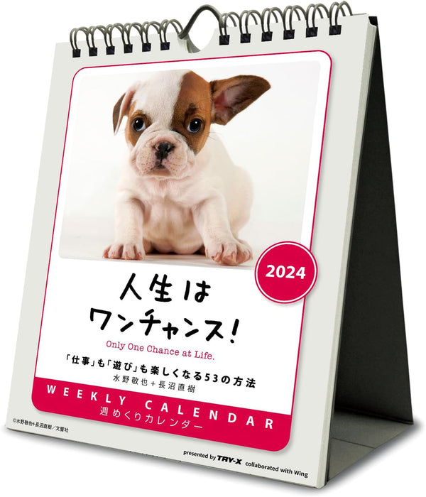 Try-X 2024 Wall Desk Calendar Only One Chance at Life! CL-387 18x14cm