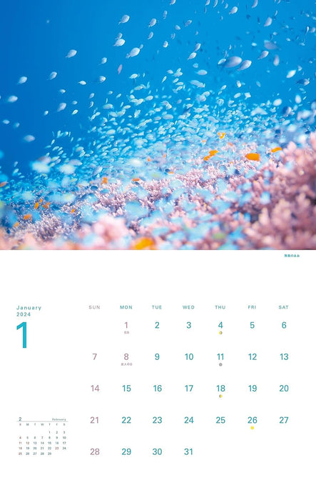 Yama-kei Calendar 2024 The Happiest Sea: The Most Beautiful Ocean in the World (Monthly/Wall Calendar)