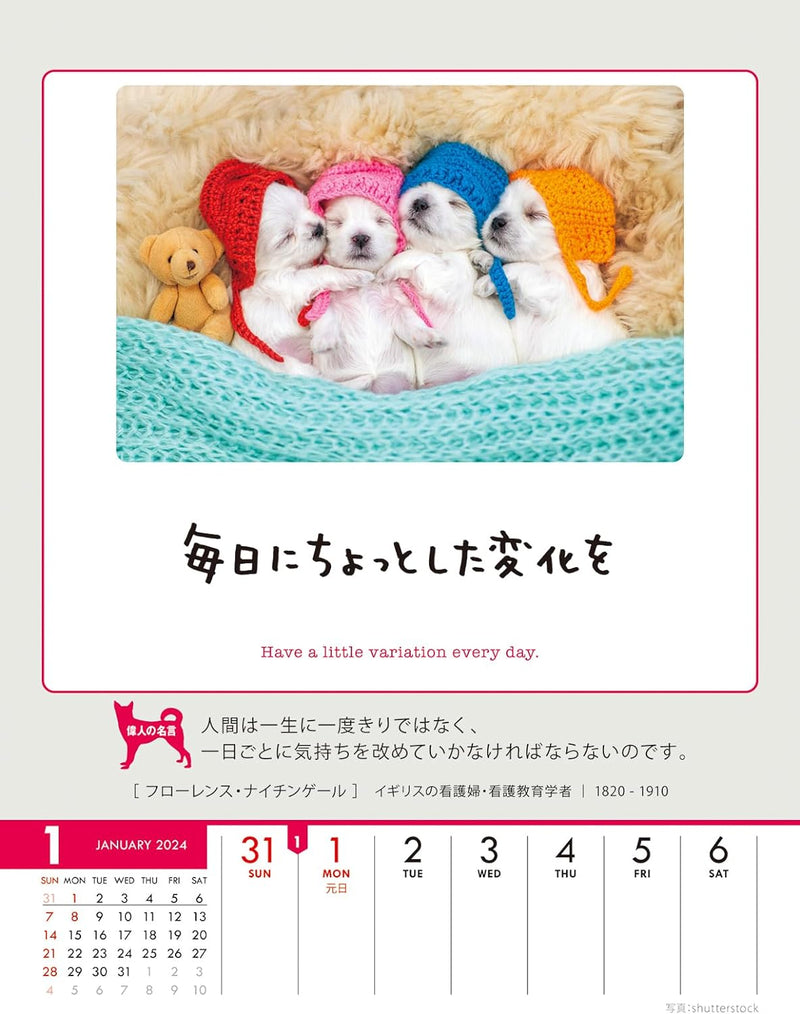 Try-X 2024 Wall Desk Calendar Only One Chance at Life! CL-387 18x14cm