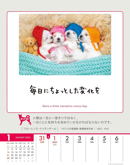 Try-X 2024 Wall Desk Calendar Only One Chance at Life! CL-387 18x14cm