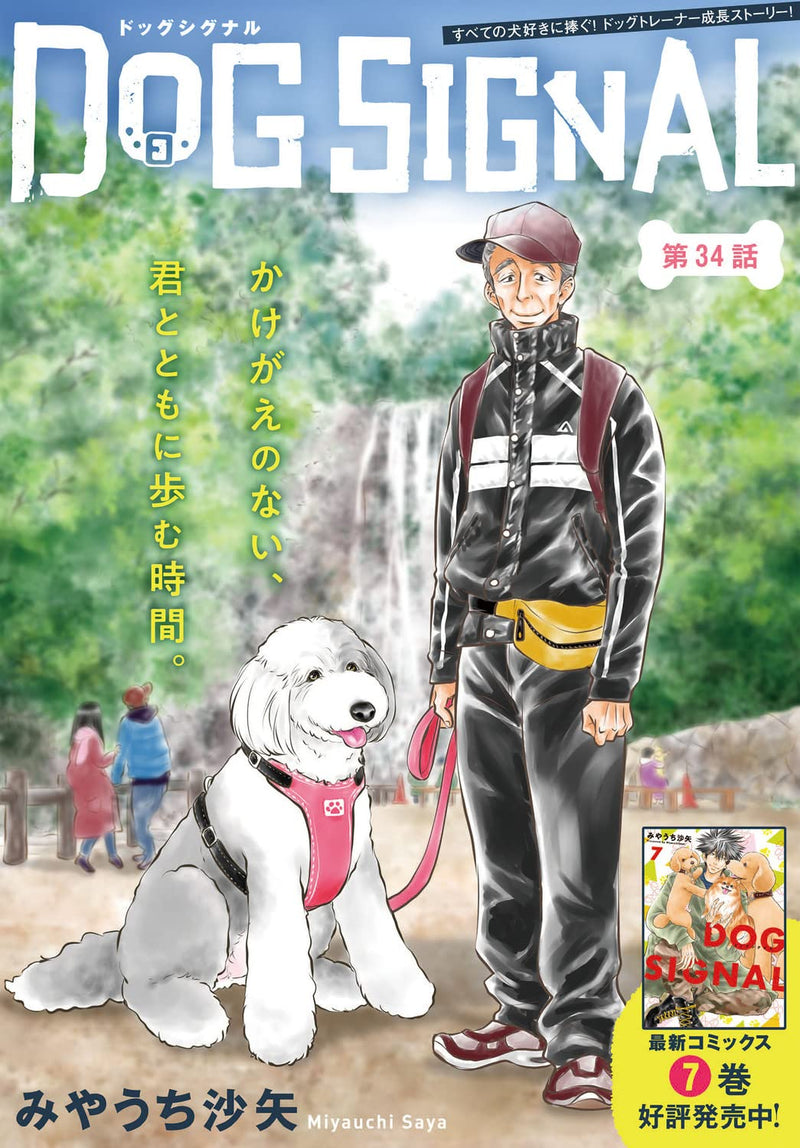 DOG SIGNAL 8