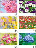 New Japan Calendar 2023 Wall Calendar Flower Language NK139