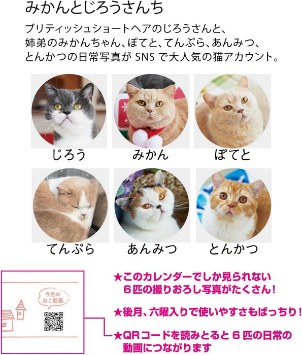 New Japan Calendar 2024 Wall Calendar Life with Cats Mikan to Jirousan Chi NK33