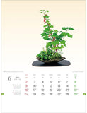 Todan 2024 Wall Calendar Wildflower Bonsai 53.5 x 38cm TD-819