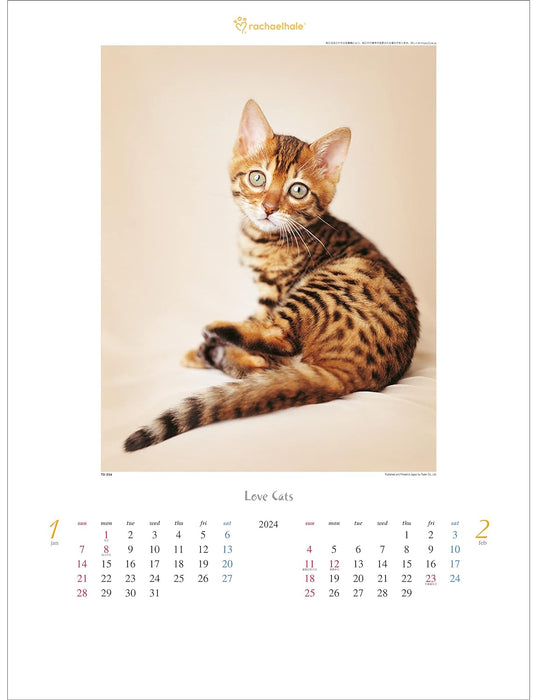 Todan 2024 Wall Calendar Love Cat - Rachel Hale Works - 53.5 x 38cm TD-934