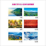 New Japan Calendar 2024 Wall Calendar Forever Japan NK142 610x425mm
