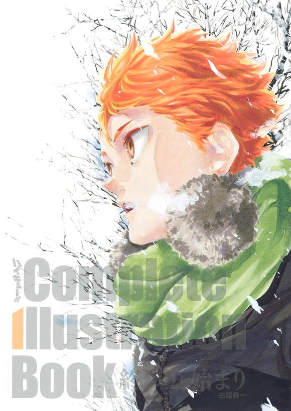 Haikyu!! Complete Illustration book End and Beginning