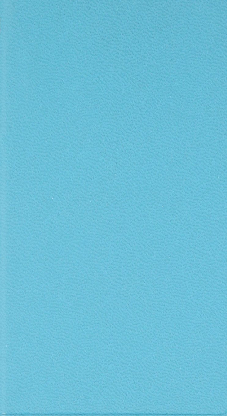 Word Selection Practical Dictionary
