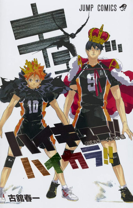 Haikyu!! Official Color Illustration Collection Hikara!!